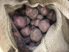 Certified First Grade Red Pontiac Seed Potatoes Non GMO