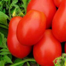 Roma VF Tomato Seeds | NON-GMO | Heirloom | Fresh Vegetable Seeds